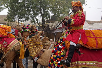 Festival du désert (Desert Festival), Jaisalmer, Rajasthan_IMGP5779.JPG