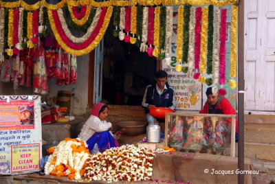 Jaisalmer, Rajasthan_IMGP6060.JPG