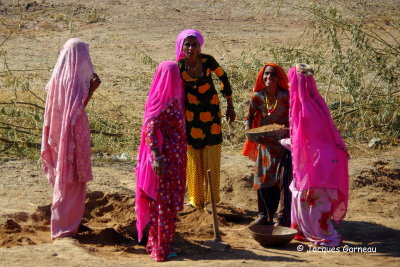 Sur la route entre Jaisalmer et Dechu, Rajasthan_IMGP6136.JPG