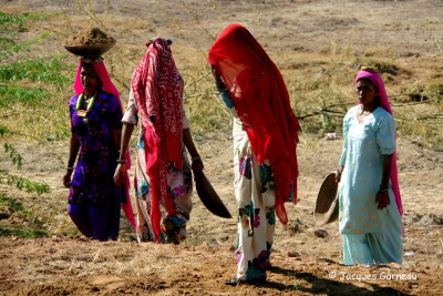 Sur la route entre Jaisalmer et Dechu, Rajasthan_IMGP6137.JPG