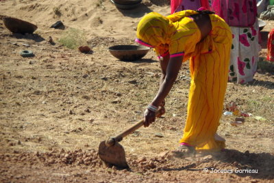 Sur la route entre Jaisalmer et Dechu, Rajasthan_IMGP6153.JPG
