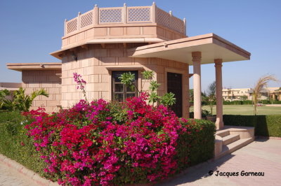Thar Oasis Resort, Gumanpura, Rajasthan_IMGP6223.JPG