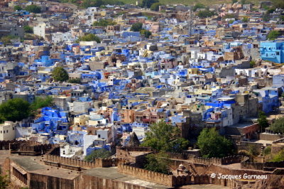 Jodhpur, la ville bleue vue du Fort de Mehrangarh, Rajasthan_IMGP6550.JPG