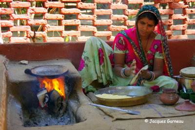 Arrt pour le lunch, Maharani Bagh Orchard Retreat, Ranakpur, Rajasthan_IMGP6670.JPG