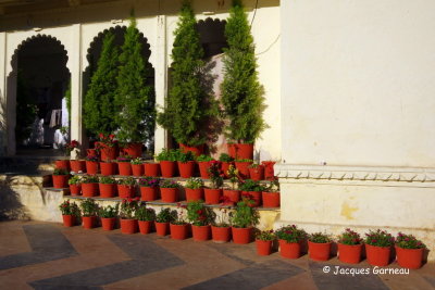 Jardin des Demoiselles, Udaipur, Rajasthan_IMGP6793.JPG