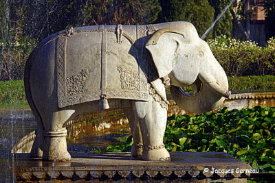 Jardin des Demoiselles, Udaipur, Rajasthan_IMGP6797.JPG