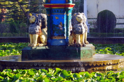 Jardin des Demoiselles, Udaipur, Rajasthan_IMGP6798.JPG