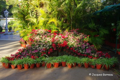 Jardin des Demoiselles, Udaipur, Rajasthan_IMGP6813.JPG
