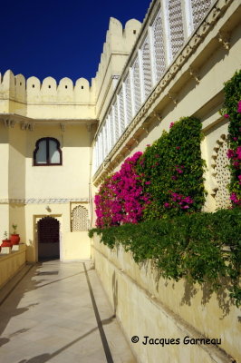 City Palace, Udaipur, Rajasthan_IMGP6835.JPG