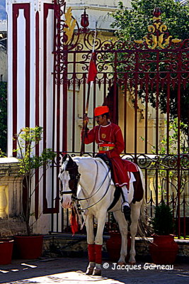 City Palace, Udaipur, Rajasthan_IMGP6838.JPG