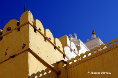 City Palace, Udaipur, Rajasthan_IMGP6841.JPG