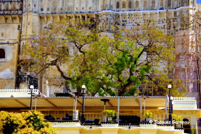 City Palace, Udaipur, Rajasthan_IMGP6965.JPG