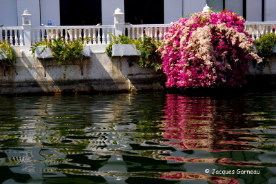 Lac Pichola, Udaipur, Rajasthan_IMGP6984.JPG