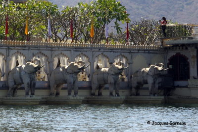 Lake Palace, île de Jag Mandir sur le lac Pichola, Udaipur, Rajasthan_IMGP7023.JPG