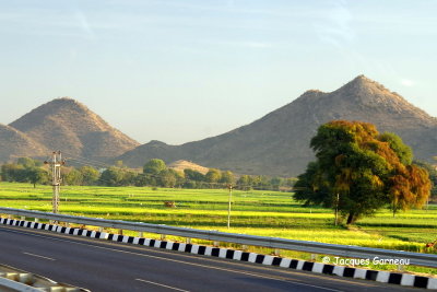 Sur la route entre Udaipur et Pushkar, Rajasthan_IMGP7058.JPG