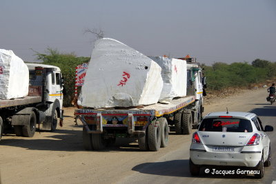 Sur la route entre Pushkar et Jaipur, Rajasthan_IMGP7162.JPG