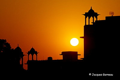 Prs du temple Birla, Jaipur, Rajasthan_IMGP7276.JPG