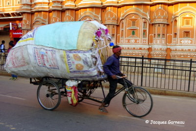 Devant le Palais des Vents (Hawa Mahal), Jaipur, Rajasthan_IMGP7306.JPG