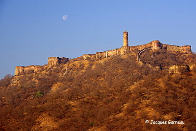 Fort Jaigarh, Jaipur, Rajasthan_IMGP7319.JPG