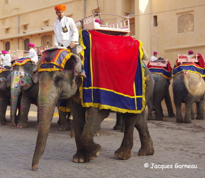 Fort d'Amber, district de Jaipur, Rajasthan_IMGP7334.JPG