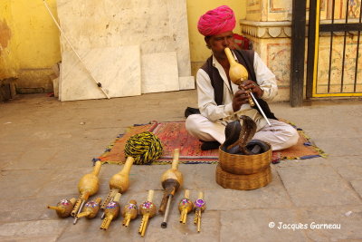 Charmeur de serpents, City Palace, Jaipur, Rajasthan_IMGP7469.JPG