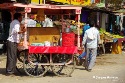 Sur la route entre Jaipur et Ranthambore, Rajasthan_IMGP7724.JPG