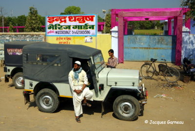 Sur la route entre Jaipur et Ranthambore, Rajasthan_IMGP7728.JPG