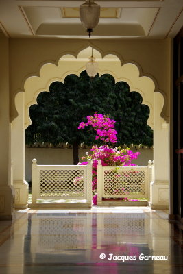 Htel Treehouse Resort, Ranthambore, Rajasthan_IMGP8071.JPG