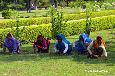 Khajuraho, tat du Madhya Pradesh_IMGP8318.JPG