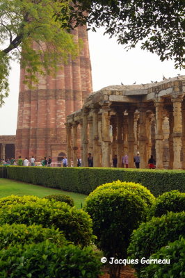 Site du complexe du Qutb Minar et de ses monuments, Delhi_IMGP8692.JPG