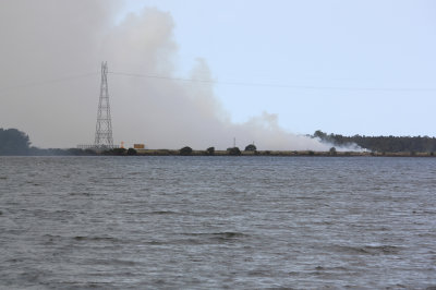 Bush fire