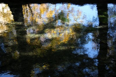 g9/77/1115777/3/153306447.d1ridW6a.jpg