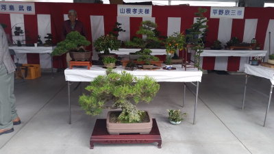 20151010_104233.jpg