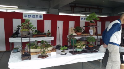 20151010_104238.jpg