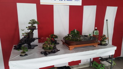 20151010_104245.jpg
