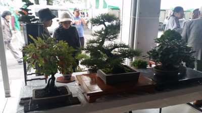 20151010_104256.jpg