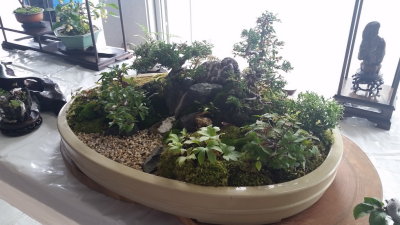 20151010_104312.jpg
