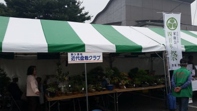 20151010_105350.jpg