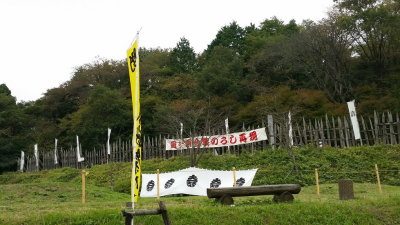 20151010_114413.jpg