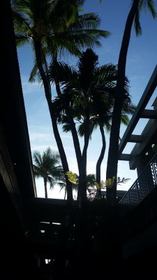 20151011_074940.jpg
