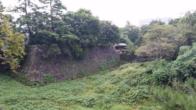 20151011_101001.jpg