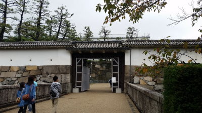 20151011_101139.jpg