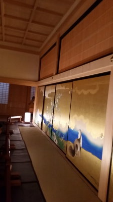 20151011_102157.jpg