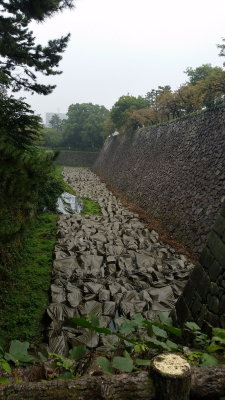 20151011_103158.jpg