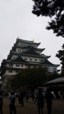 20151011_103409.jpg