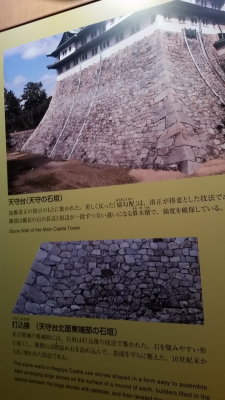 20151011_111042.jpg