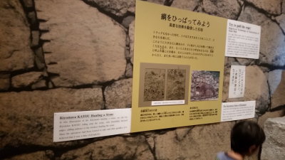 20151011_111716.jpg