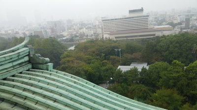 20151011_112622.jpg