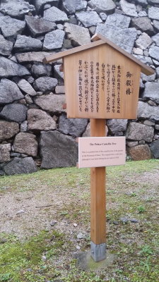 20151011_114806.jpg