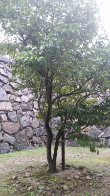 20151011_114808.jpg